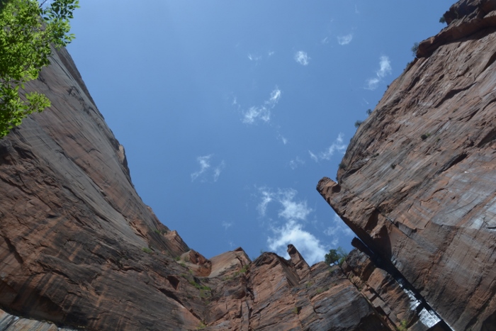 In the Kayenta-Emerald Pools Trail